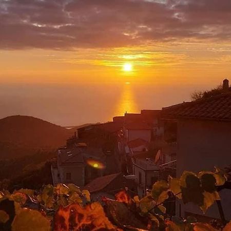 Carmineholidayhouse Pollica Εξωτερικό φωτογραφία